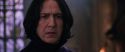 CS-Potterish_04739.jpg