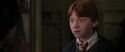 CS-Potterish_04754.jpg