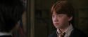 CS-Potterish_04761.jpg