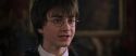 CS-Potterish_04786.jpg
