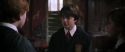 CS-Potterish_04815.jpg