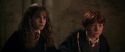 CS-Potterish_04866.jpg