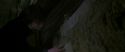 CS-Potterish_04902.jpg