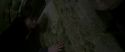 CS-Potterish_04904.jpg