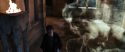 CS-Potterish_04929.jpg