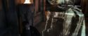 CS-Potterish_04933.jpg