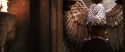 CS-Potterish_05023.jpg