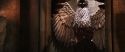CS-Potterish_05024.jpg