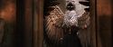 CS-Potterish_05025.jpg