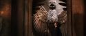 CS-Potterish_05026.jpg
