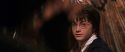 CS-Potterish_05030.jpg