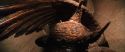 CS-Potterish_05046.jpg
