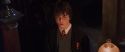 CS-Potterish_05165.jpg