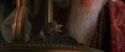 CS-Potterish_05195.jpg