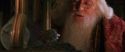CS-Potterish_05197.jpg