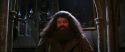 CS-Potterish_05216.jpg