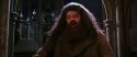 CS-Potterish_05217.jpg