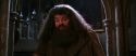 CS-Potterish_05219.jpg