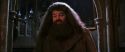 CS-Potterish_05220.jpg