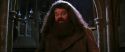 CS-Potterish_05223.jpg