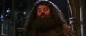 CS-Potterish_05232.jpg