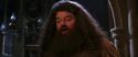 CS-Potterish_05233.jpg