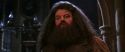 CS-Potterish_05236.jpg