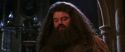 CS-Potterish_05237.jpg