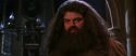 CS-Potterish_05238.jpg