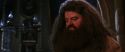 CS-Potterish_05239.jpg