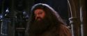 CS-Potterish_05240.jpg