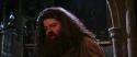 CS-Potterish_05241.jpg