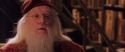 CS-Potterish_05242.jpg