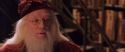 CS-Potterish_05244.jpg