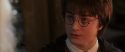 CS-Potterish_05266.jpg