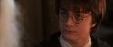 CS-Potterish_05270.jpg
