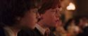 CS-Potterish_05360.jpg