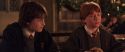 CS-Potterish_05369.jpg