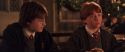 CS-Potterish_05370.jpg