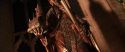 CS-Potterish_05378.jpg