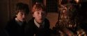 CS-Potterish_05399.jpg