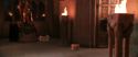 CS-Potterish_05403.jpg