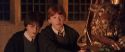 CS-Potterish_05439.jpg