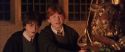 CS-Potterish_05440.jpg