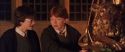 CS-Potterish_05442.jpg