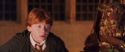 CS-Potterish_05444.jpg