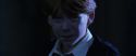 CS-Potterish_05470.jpg