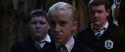CS-Potterish_05641.jpg