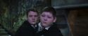 CS-Potterish_05780.jpg