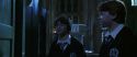 CS-Potterish_05828.jpg